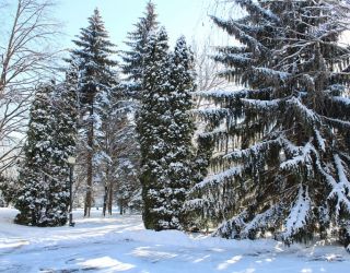 *Санаторий "Украина"