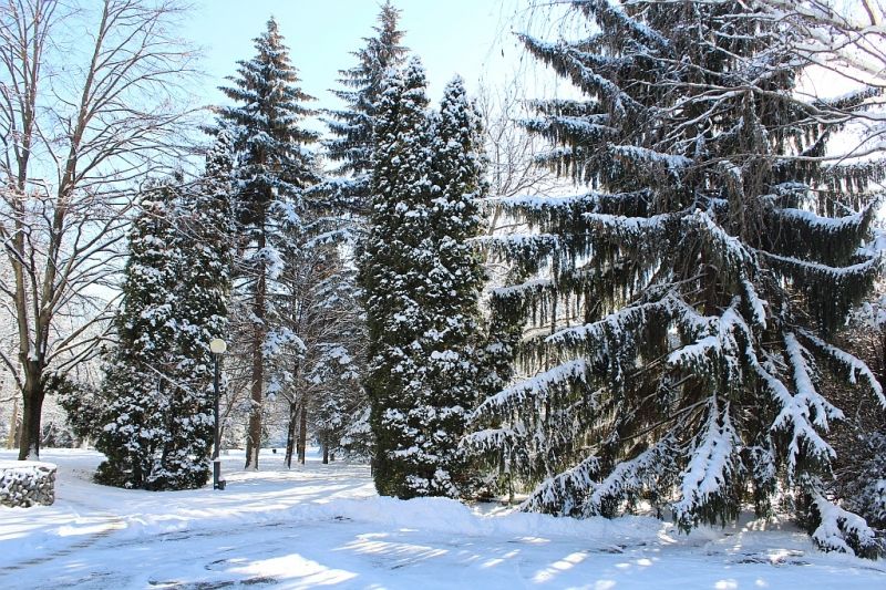 *Санаторий "Украина"